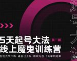 大播·五天起号魔鬼训练营,告别光学不练,逼自己上车,成败与否,5天拿到结果-大兵轻创资源库