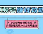 玩转微信视频号赚钱：小白变大咖涨粉百万实现快速变现1000万的现金流-大兵轻创资源库