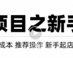虚拟项目快速起店模式,0成本打造月入几万虚拟店铺!-大兵轻创资源库