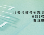 11天视频号变现训练营,从0到1打造变现赚钱系统(价值398元)-大兵轻创资源库