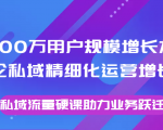 8000万用户规模增长方法论私域精细化运营增长,私域流量硬课助力业务跃迁-大兵轻创资源库