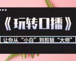 月营业额700万+大佬教您《玩转口播》让你从“小白”到剪辑“大师”-大兵轻创资源库
