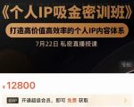 个人IP吸金密训班,打造高价值高效率的个人IP内容体系(价值12800元)-大兵轻创资源库