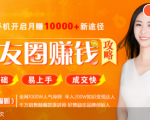全网千万人气导师亲授:零基础/易上手的朋友圈赚钱攻略,让你轻松月入过万-大兵轻创资源库