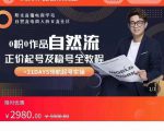 0粉0作品自然流正价起号及稳号全教程,专业自然流起号机构流程化教学(价值2980元)-大兵轻创资源库
