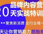 《内容营销实操特训营》20天让你营销能力脱胎换骨(价值3999)-大兵轻创资源库