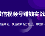 微信视频号赚钱实战:抓住流量红利,快速积累百万粉丝,赚取你的第一桶金-大兵轻创资源库