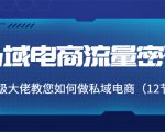 私域电商流量密码:千万级大佬教您如何做私域电商(12节课)-大兵轻创资源库