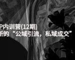 新媒体IP内训营(12期),一套全新的“公域引流,私域成交”IP打法,直接带走-大兵轻创资源库