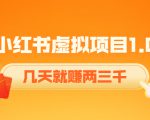 《小红书虚拟项目1.0》账号注册+养号+视频制作+引流+变现,几天就赚两三千-大兵轻创资源库