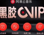 网易云音乐撸黑胶年卡及变现方法,收益可无限放大-大兵轻创资源库