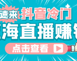 最新抖音冷门简单的蓝海直播赚钱玩法,流量大知道的人少,可做到全无人直播-大兵轻创资源库
