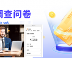 跨境问卷项目,操作简单一天稳定100美刀,每个月能挣1-3W-大兵轻创资源库