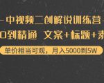 中视频二创解说训练营:从0到精通 文案+标题+素材、月入5000到5W-大兵轻创资源库