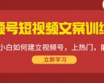 视频号短视频文案训练营:0基础小白如何建立视频号,上热门,能卖货!-大兵轻创资源库