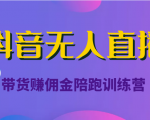 抖音无人直播带货赚佣金陪跑训练营（价值6980元）-大兵轻创资源库