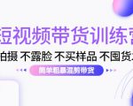 短视频带货训练营:不拍摄 不露脸 不买样品 不囤货发货 简单粗暴混剪带货(第三期)-大兵轻创资源库