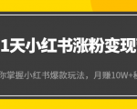 21天小红书涨粉变现营（第4期）：带你掌握小红书爆款玩法，月赚10W+秘密-大兵轻创资源库