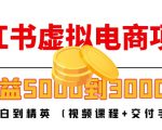 小红书虚拟电商项目:从小白到精英 月收益5000到30000 (视频课程+交付手册)-大兵轻创资源库