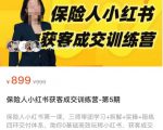 保险人小红书获客成交训练营，0基础高效玩转小红书，可复制的获客成交之路-大兵轻创资源库