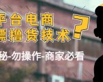 外面收费2980的全平台电商白嫖撸货技术（仅揭秘勿操作-商家防范必看）-大兵轻创资源库