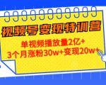 21天视频号变现特训营：单视频播放量2亿+3个月涨粉30w+变现20w+（第14期）-大兵轻创资源库