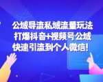 公域导流私域流量玩法:打爆抖音+视频号公域,快速引流到个人微信!-大兵轻创资源库