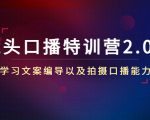 镜头口播特训营2.0版,学习文案编导以及拍摄口播能力(50节课时)-大兵轻创资源库