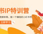 小红书IP特训营：从搭建-制作-爆款脚本等等，做一个赚钱的小红书号-大兵轻创资源库