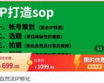 瑶瑶·自然流IP孵化,系统掌握IP孵化全流程,也能学到选题,剪辑,账号运营经验-大兵轻创资源库
