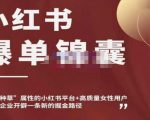 小红书爆单锦囊,自带种草属性+高质量女性用户,为你的企业开辟一条新的掘金路径-大兵轻创资源库