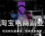 蓝Sir派·淘宝短视频快速起店,替代传统搜索方式,学会做一个不一样的淘宝店-大兵轻创资源库