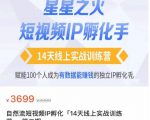 瑶瑶·自然流短视频IP孵化第二期，14天线上实战训练营，赋能100个人成为有数据能赚钱的独立IP孵化手-大兵轻创资源库