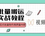 视频号批量搬运实战操作运营赚钱教程，傻瓜式批量制作高质量内容【附视频教程+PPT】-大兵轻创资源库