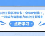 厦九九小红书学习年卡(全年IP孵化),沉浸式学习,一起成为有影响力的小红书博主-大兵轻创资源库
