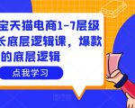 大圣淘宝天猫电商1-7层级盈利增长底层逻辑课,爆款的底层逻辑-大兵轻创资源库