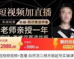 张越·短视频+直播,自然流三频共振起号实操课,短视频所有流量玩法讲解-大兵轻创资源库
