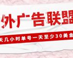 外面收费1980的最新国外LEAD广告联盟搬砖项目,单号一天至少30美金【详细玩法教程】-大兵轻创资源库