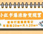 小红书爆涨粉变现营,教你打造爆款笔记,年涨粉20w+月入20w-大兵轻创资源库