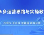 拼多多店铺运营思路与实操教程，快速学会拼多多开店和运营，少踩坑，多盈利-大兵轻创资源库