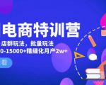 美团电商特训营：美团·店群玩法，无脑铺货月产出6000-15000+精细化月产2w+-大兵轻创资源库