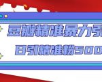 豆瓣精准暴力引流，日引精准粉500+【12课时】-大兵轻创资源库