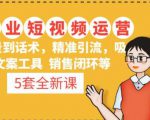 5套·美业短视频运营课从场景到话术·精准引流·吸金文案工具·销售闭环等-大兵轻创资源库