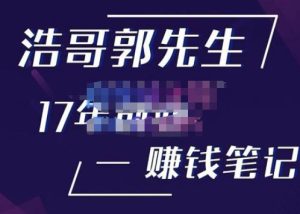 浩哥郭先生17年创业赚米笔记,打开你对很多东西的认知,让你知道原来赚钱或创业不单单是发力就行-大兵轻创资源库