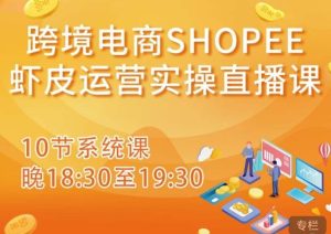 跨境电商Shopee虾皮运营实操直播课,从零开始学,入门到精通(10节系统课)-大兵轻创资源库