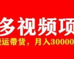 多多带货视频快速50爆款拿带货资格,搬运带货,月入30000【全套脚本+详细玩法】-大兵轻创资源库