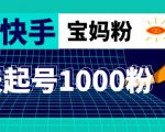 抖音快手三天起号涨粉1000宝妈粉丝的核心方法【详细玩法教程】-大兵轻创资源库