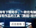 微信视频号下载助手,一款在电脑上下载视频号作品的工具(教程+软件)-大兵轻创资源库