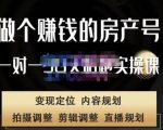 刘广标·同城房产号线上陪跑课,拍摄、剪辑、写文案、直播,做一个具有潜力价值的房产号-大兵轻创资源库