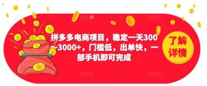 2023拼多多电商项目,稳定一天300~3000+,门槛低,出单快,一部手机即可完成-大兵轻创资源库